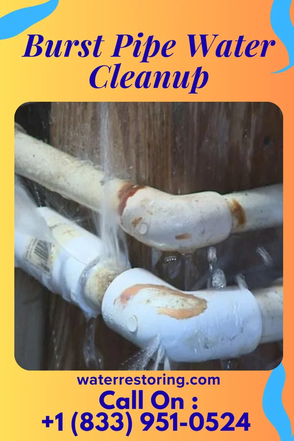 Burst Pipe Water Cleanup in West Hills, PA