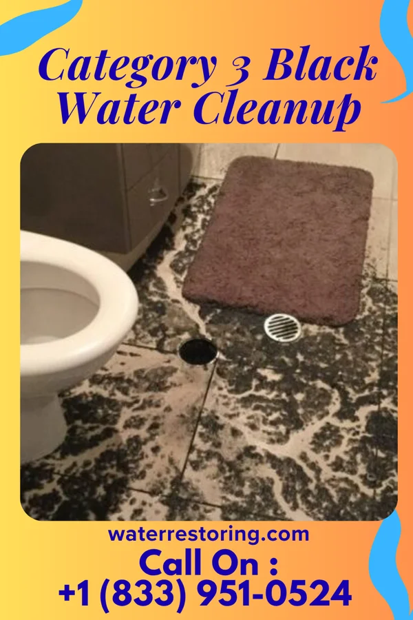 Category 3 Black Water Cleanup in West Hills, PA