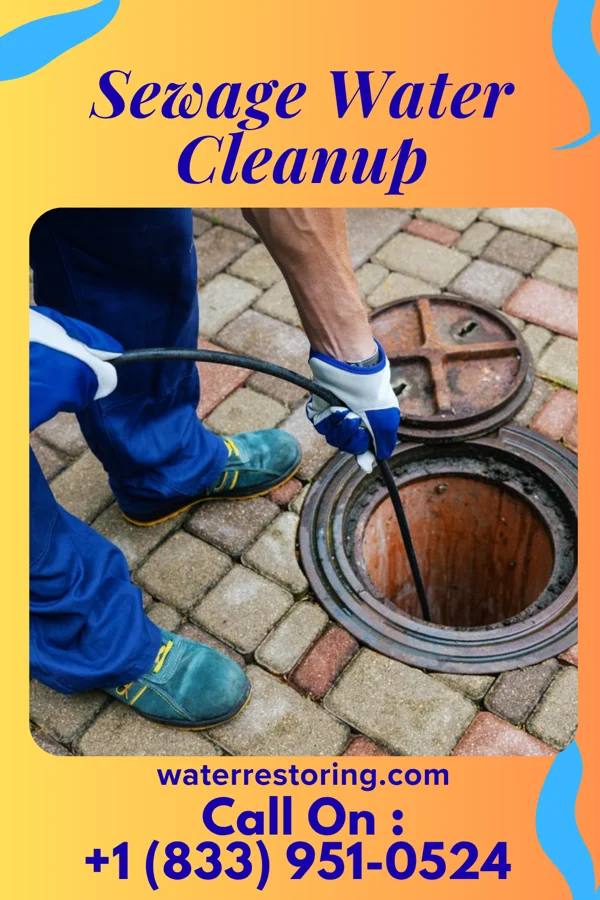 Sewage Water Cleanup in West Hills, PA